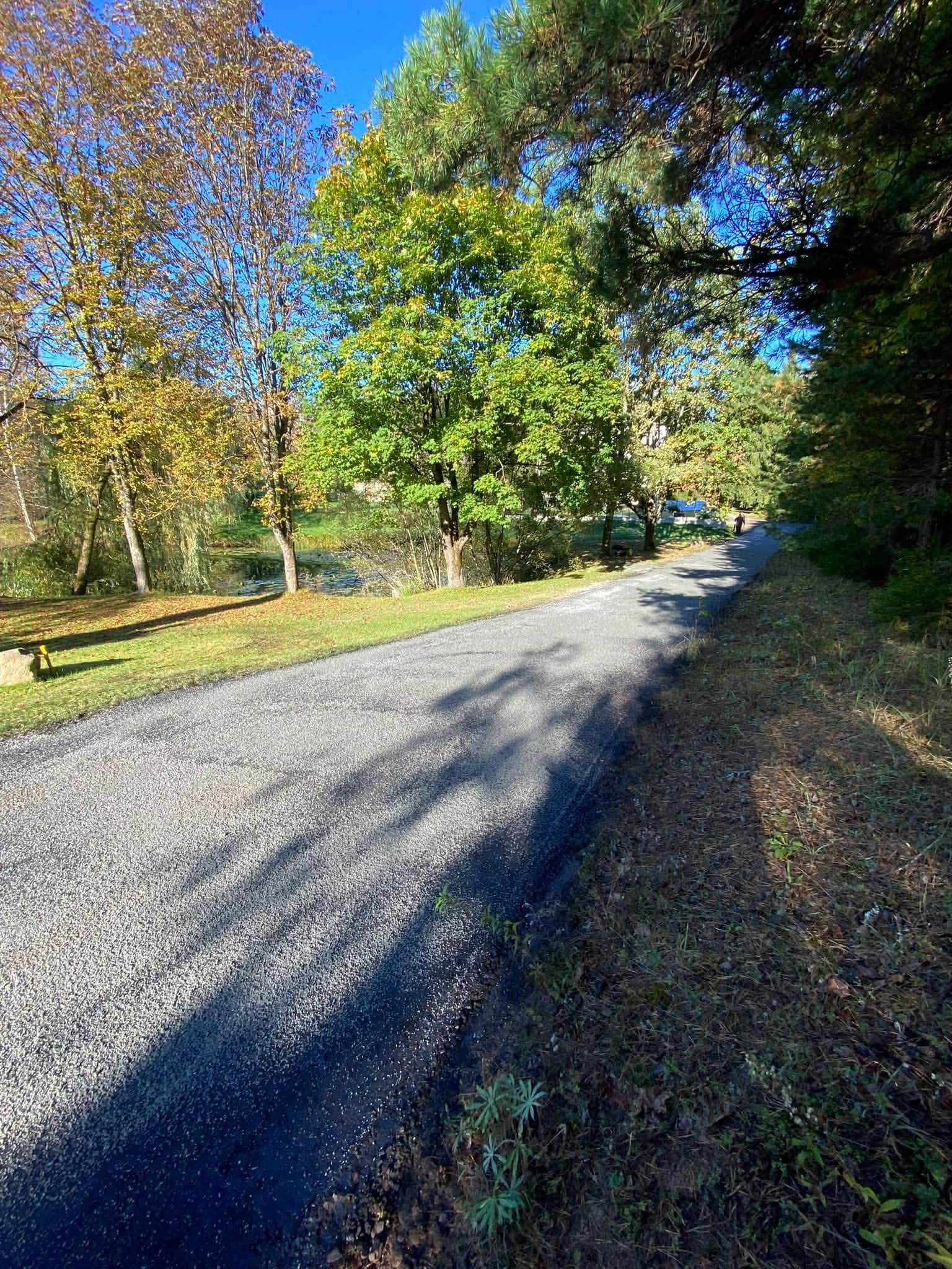 Frezuoto asfalto kelias gamtoje rudenį