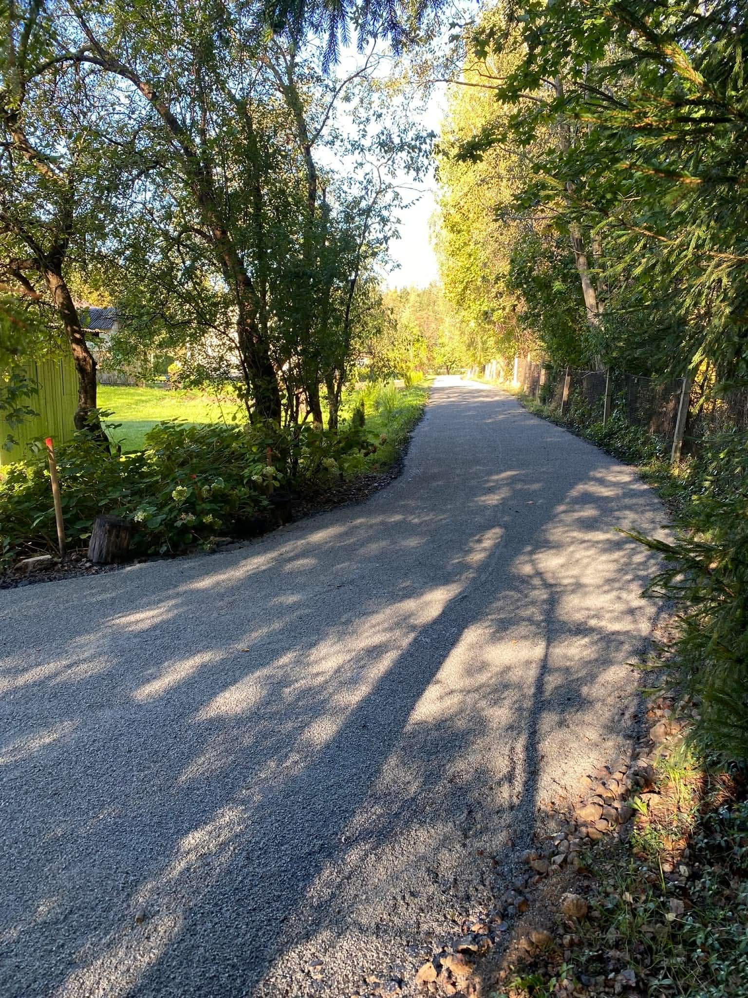 Frezuoto asfalto takas tarp medžių